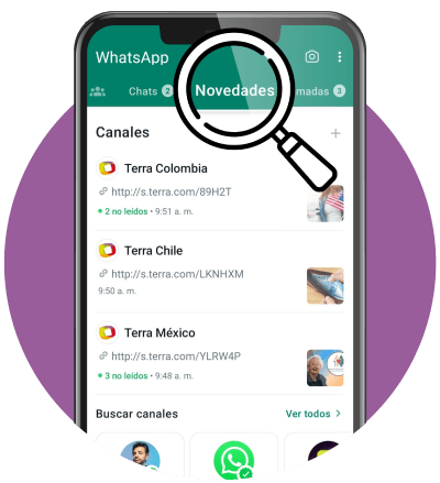 Pestaña novedades WhatsaApp